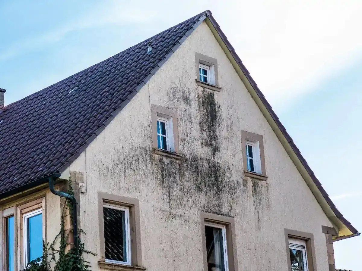 Crépi de façade à Somme